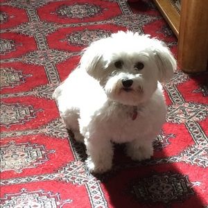 Meet your Posher, Barbara